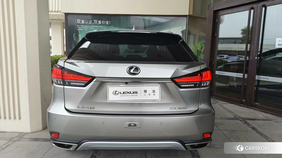 Lexus RX 2020 Серебристо-серый из Китая, фото 6