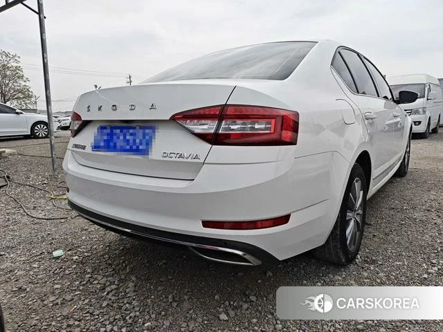 Skoda Octavia 2021 Белый из Китая, фото 5