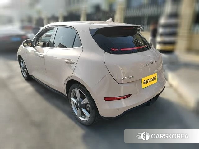 Euler Good cat 2022 Другой из Китая, фото 5