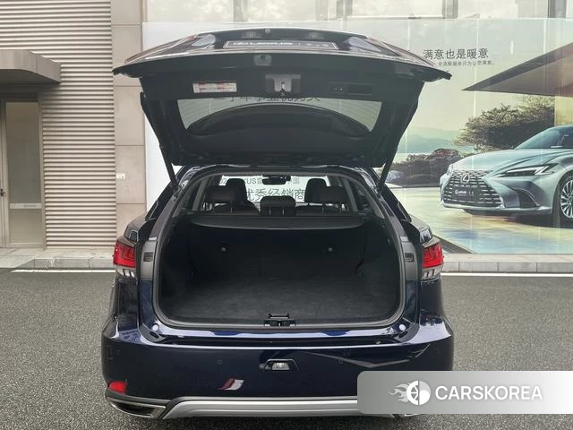 Lexus RX id 4353820 из Китая 13