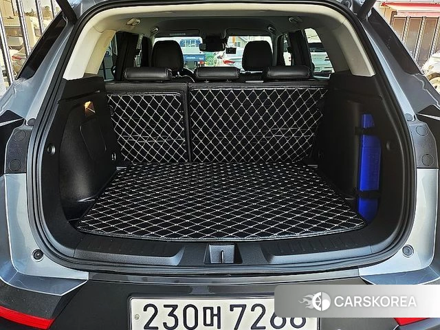 Chevrolet (GM Daewoo) Trailblazer id 3828258 из Кореи 13