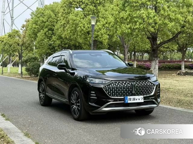 Wei Pai Mocha 2021 Черный из Китая, фото 5