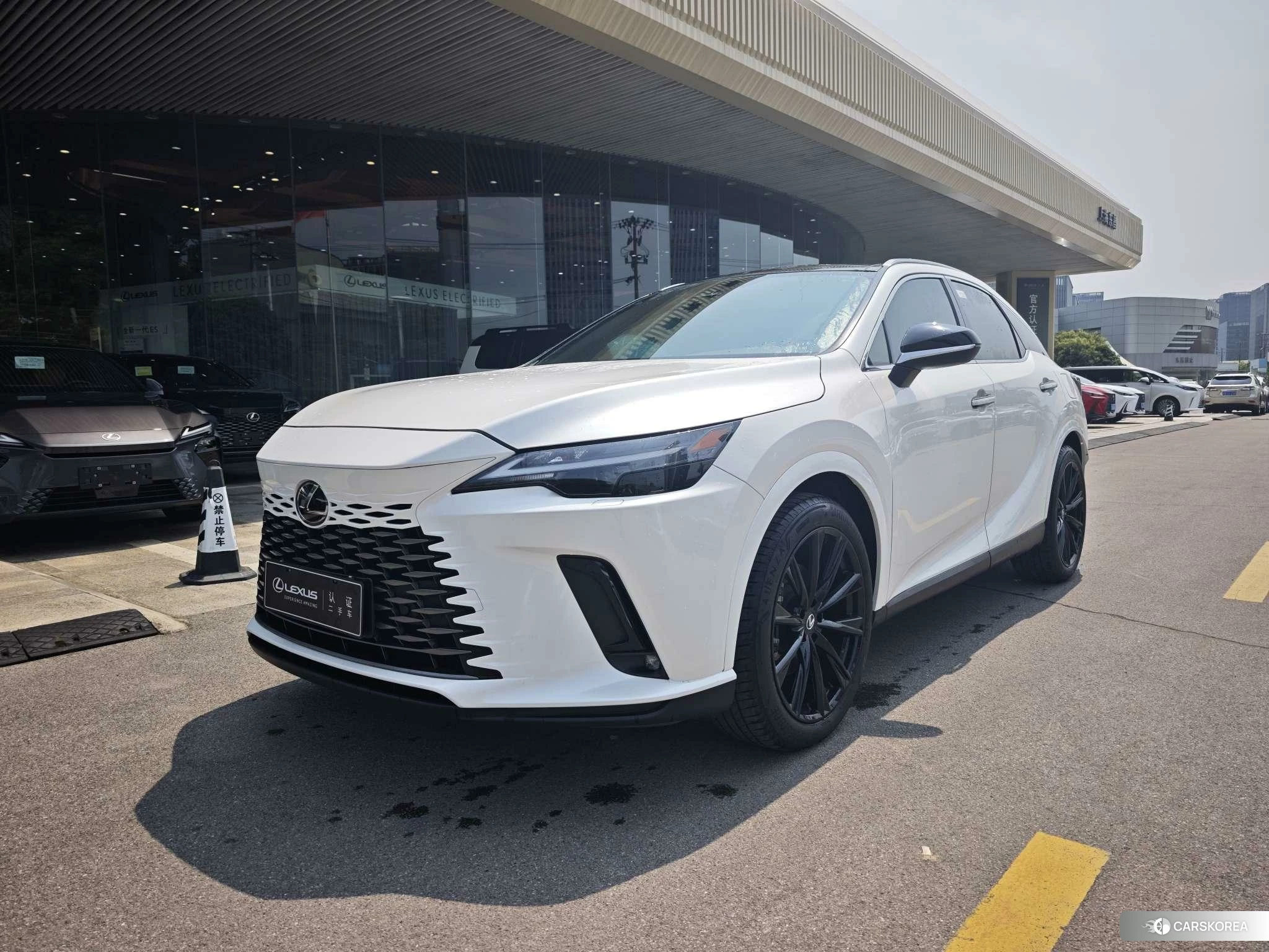 Lexus RX id 4512434 из Китая 14