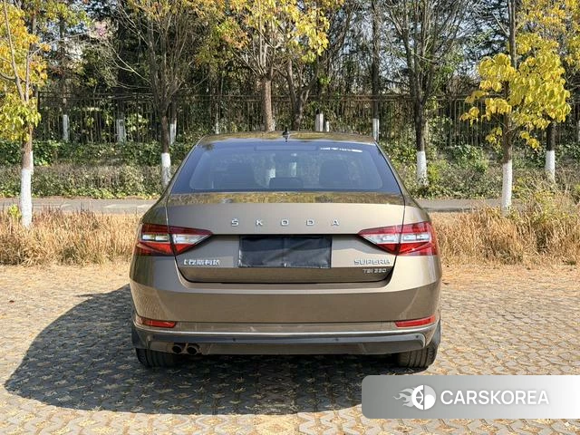 Skoda Speed pie id 3869879 из Китая 16