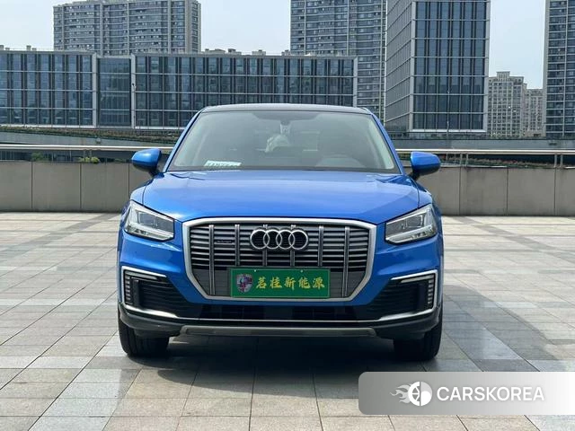 Audi Q2L e-tron id 4307125 из Китая 14