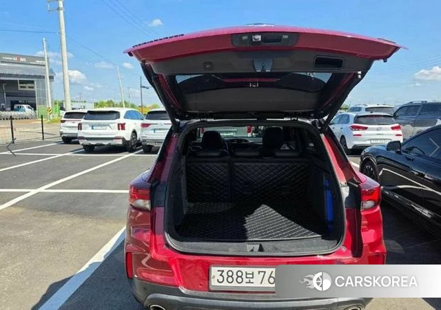 Chevrolet (GM Daewoo) Trailblazer id 4894837 из Кореи 8