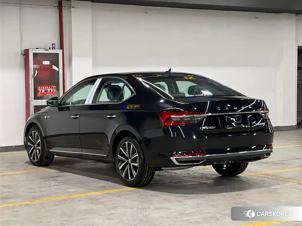 Skoda Speed pie id 4538732 из Китая 14