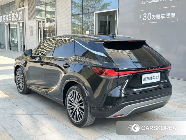Lexus RX id 4368404 из Китая 25