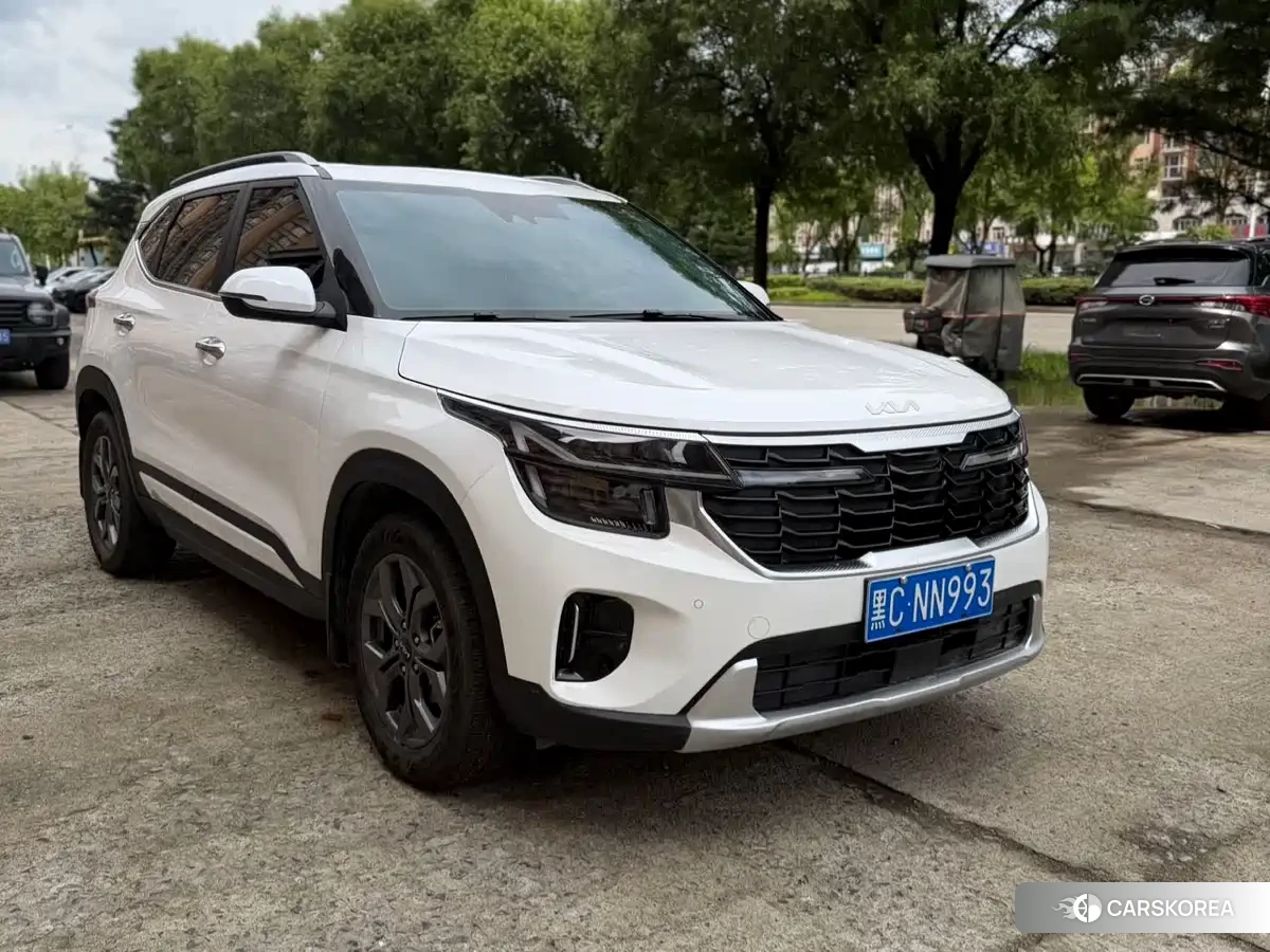 Kia Seltos id 4679963 из Китая 19