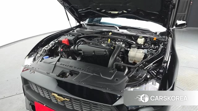 Ford Mustang 7th Generation id 3838316 из Кореи 15