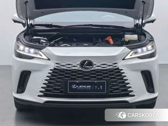 Lexus RX PHEV id 4277362 из Китая 11