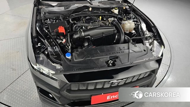 Ford Mustang 7th Generation id 4342881 из Кореи 32