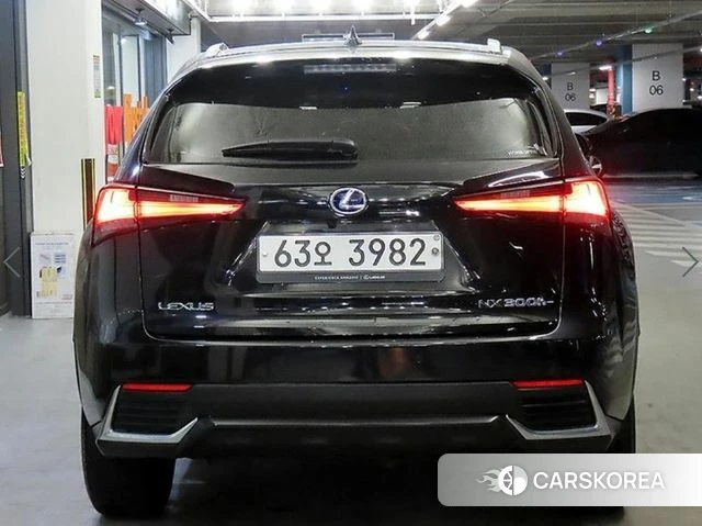 Lexus NX300 id 4206709 из Кореи 15