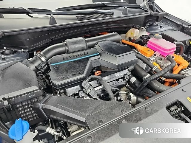 Kia Sportage 5th Generation Hybrid id 4848780 из Кореи 14