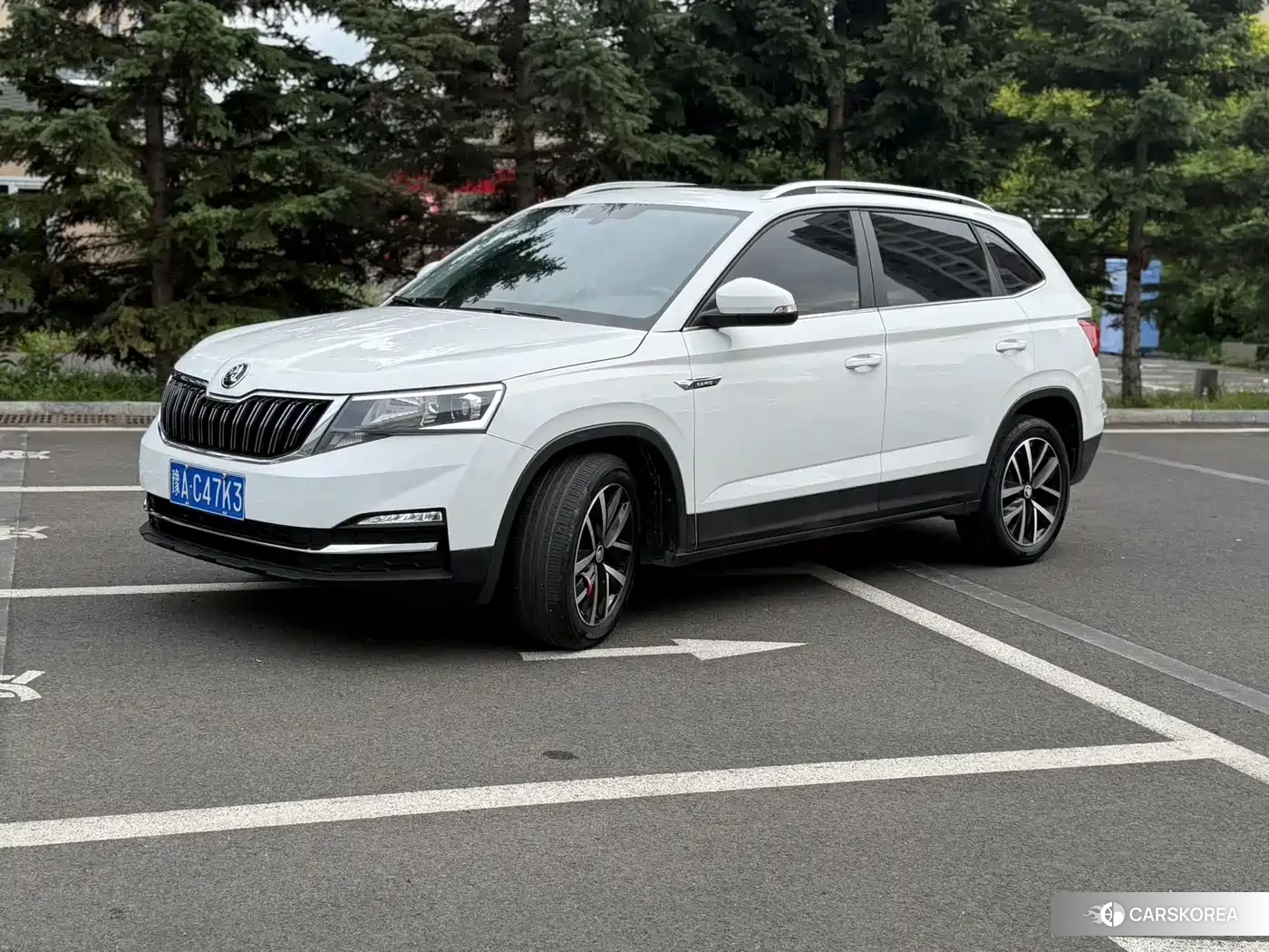 Skoda Kamiq id 4655181 из Китая 14