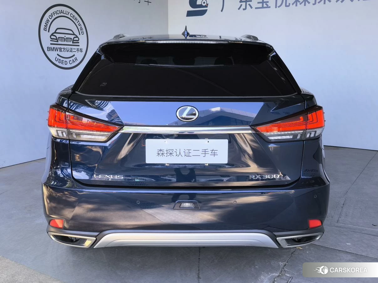 Lexus RX id 4406147 из Китая 11