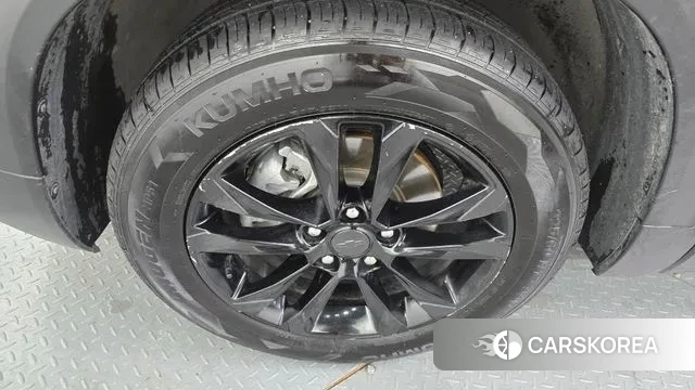 Chevrolet (GM Daewoo) Trailblazer id 3232909 из Кореи 15