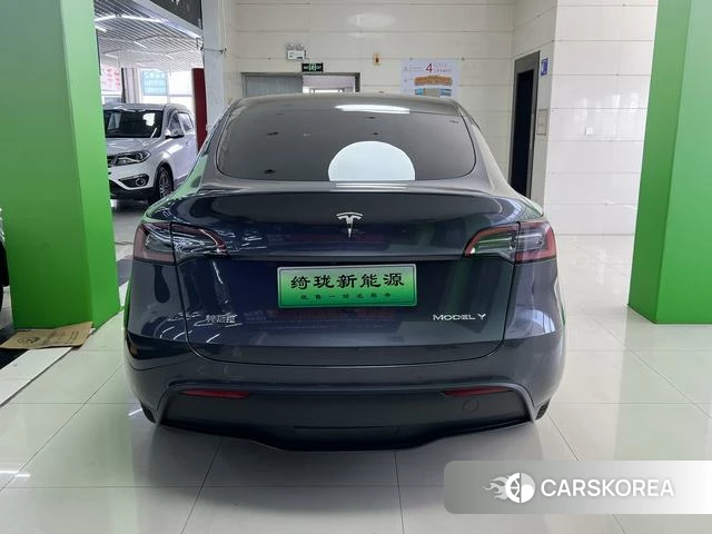Tesla Model Y id 4219760 из Китая 9