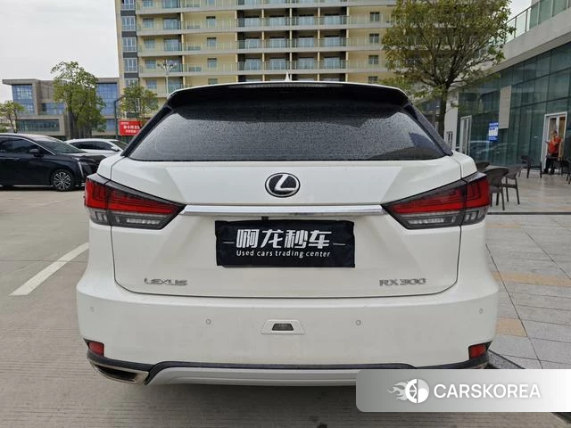 Lexus RX 2022 Белый из Китая, фото 5