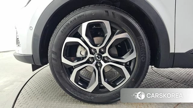 Renault Korea (Samsung) XM3 id 4863710 из Кореи 27