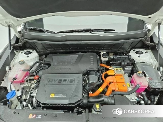 Kia Di Ol Nu Niro id 4872046 из Кореи 14