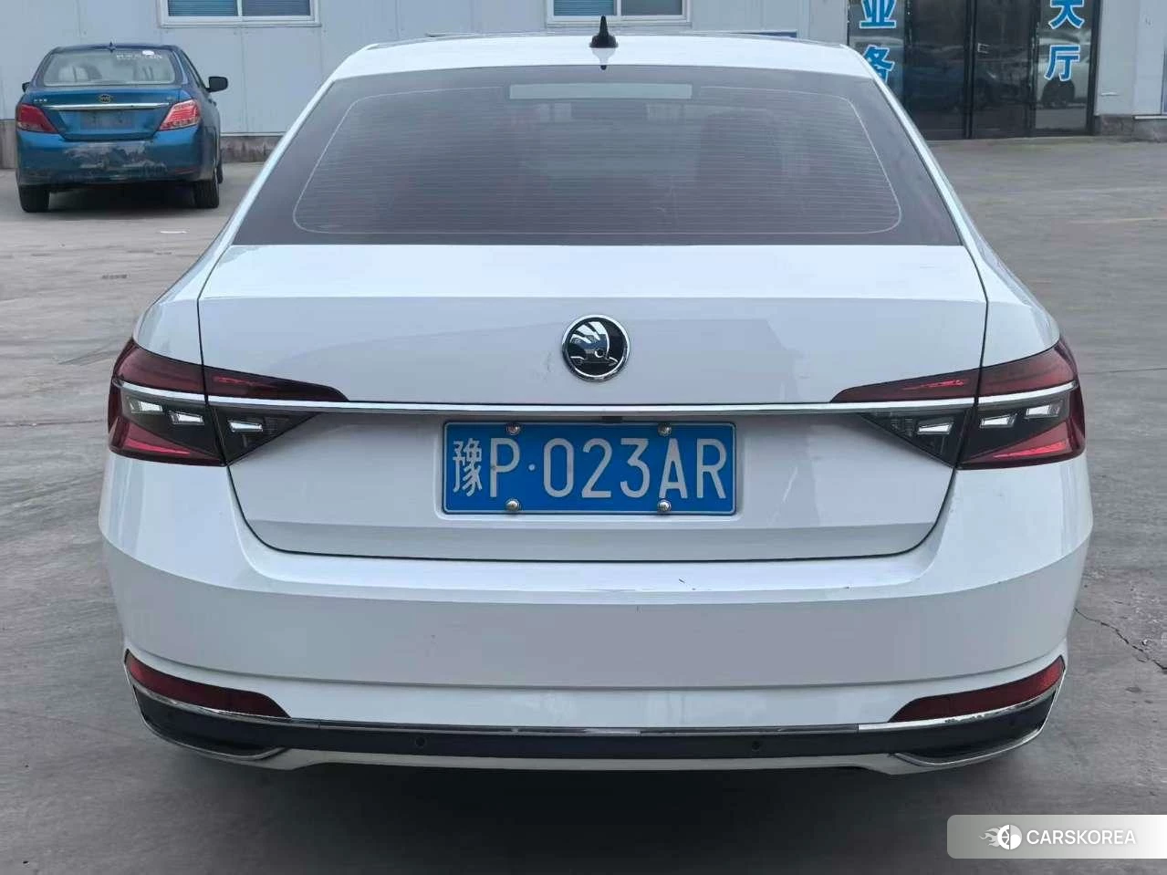 Skoda Speed pie 2023 Белый из Китая, фото 5