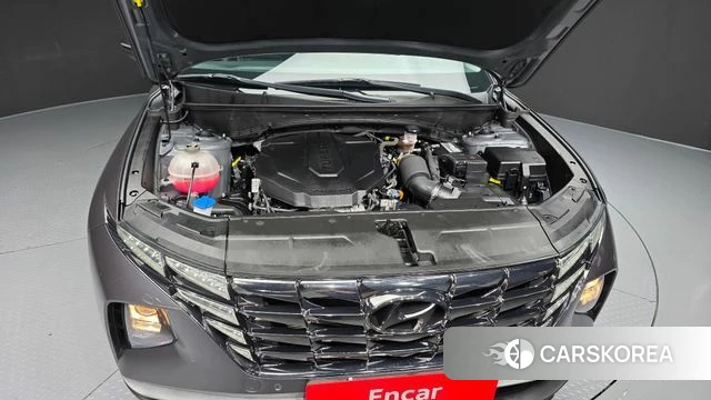 Hyundai Tucson (NX4) id 4863914 из Кореи 25