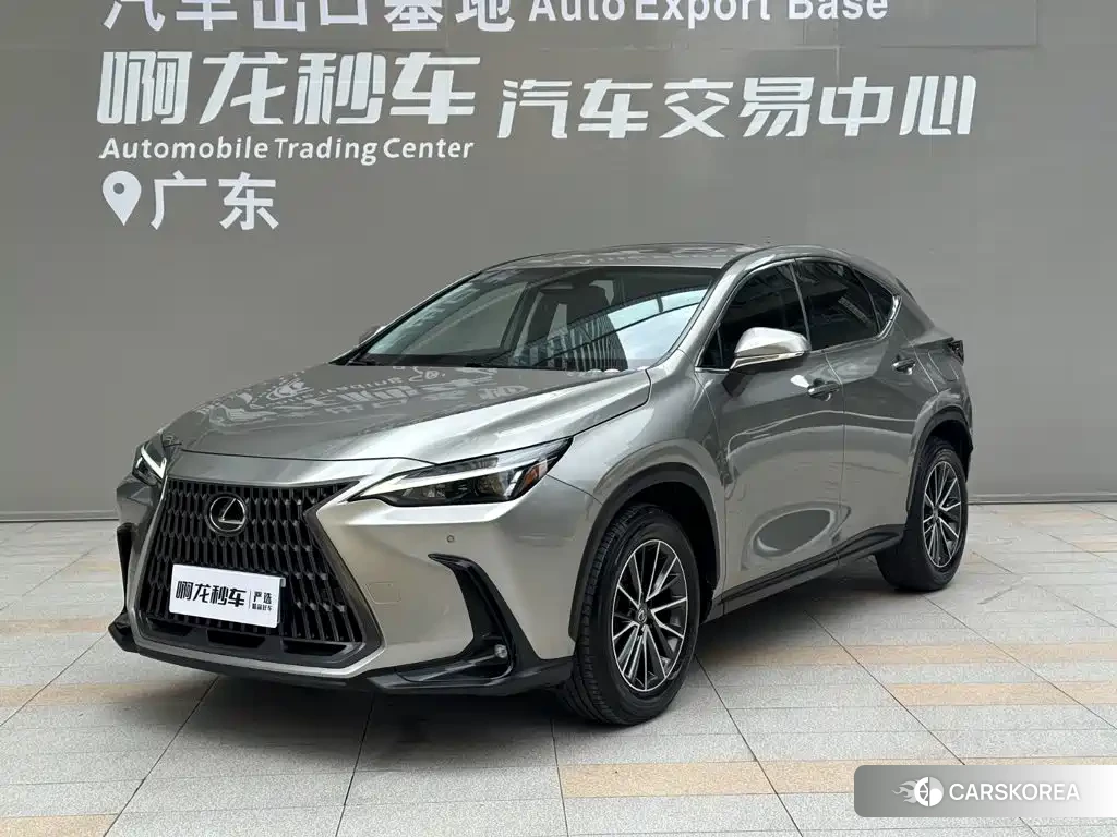 Lexus NX id 4680739 из Китая 18