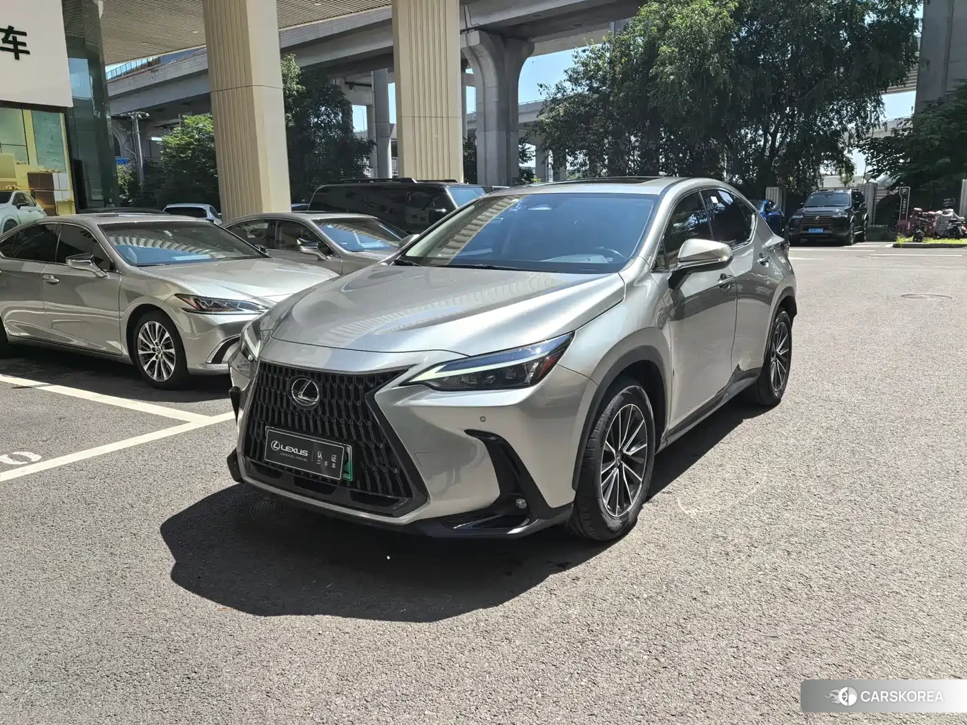 Lexus NX New Energy 2022 Silver/gray из Китая, фото 5