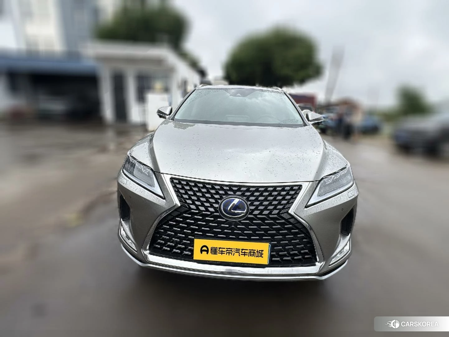 Lexus RX id 4461706 из Китая 16