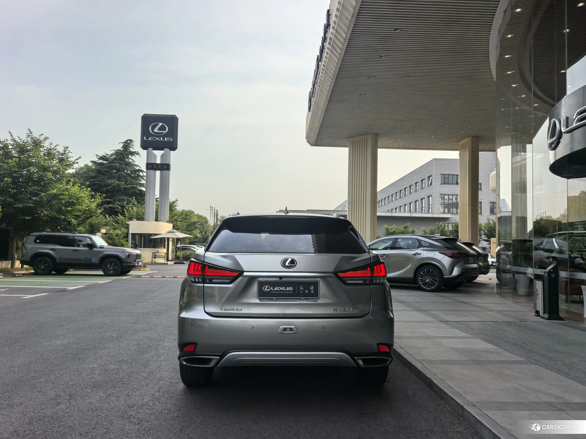 Lexus RX id 4441014 из Китая 12