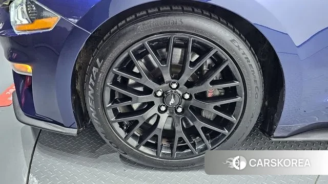 Ford Mustang id 3429099 из Кореи 15