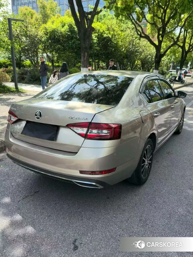 Skoda Octavia 2018 Шампань из Китая, фото 5