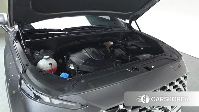 Hyundai The New Santa Fe id 3741459 из Кореи 15