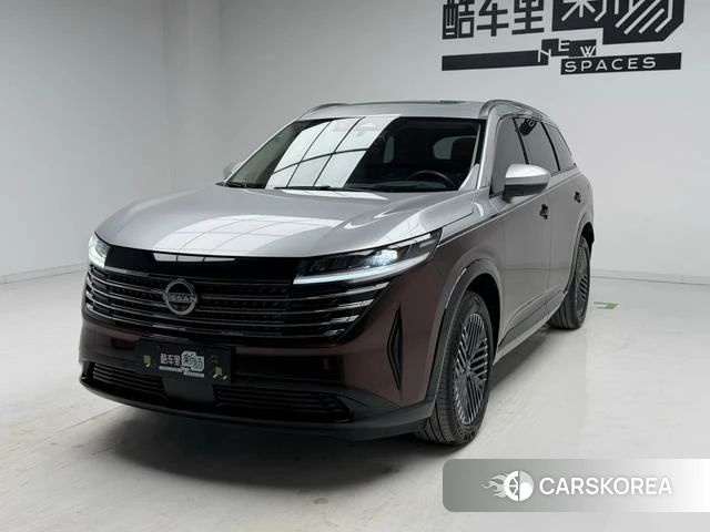 Nissan Exploring the land id 4291476 из Китая 13