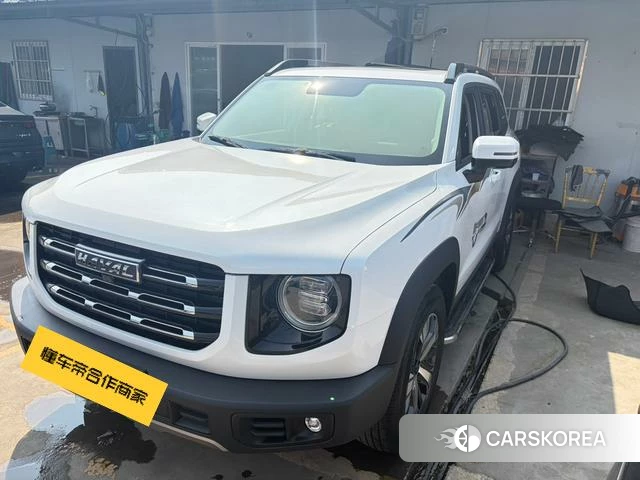 Haval Big dog 2021 Белый из Китая, фото 6