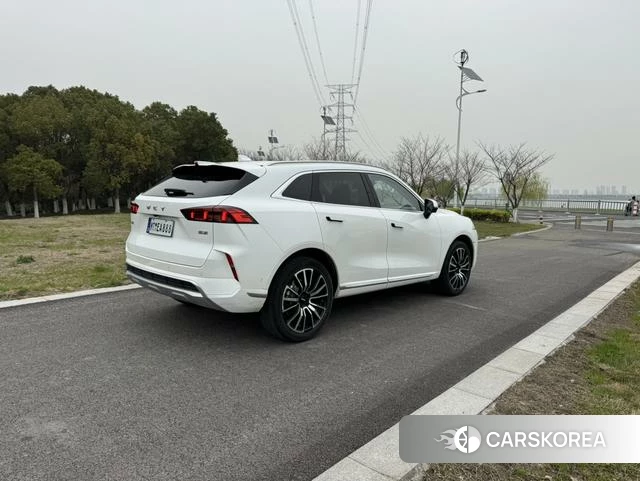 Wei Pai Mocha 2023 Белый из Китая, фото 6