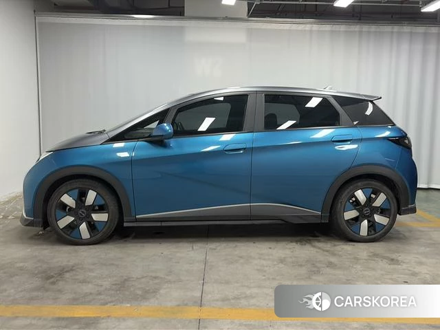 BYD dolphin id 4216848 из Китая 15