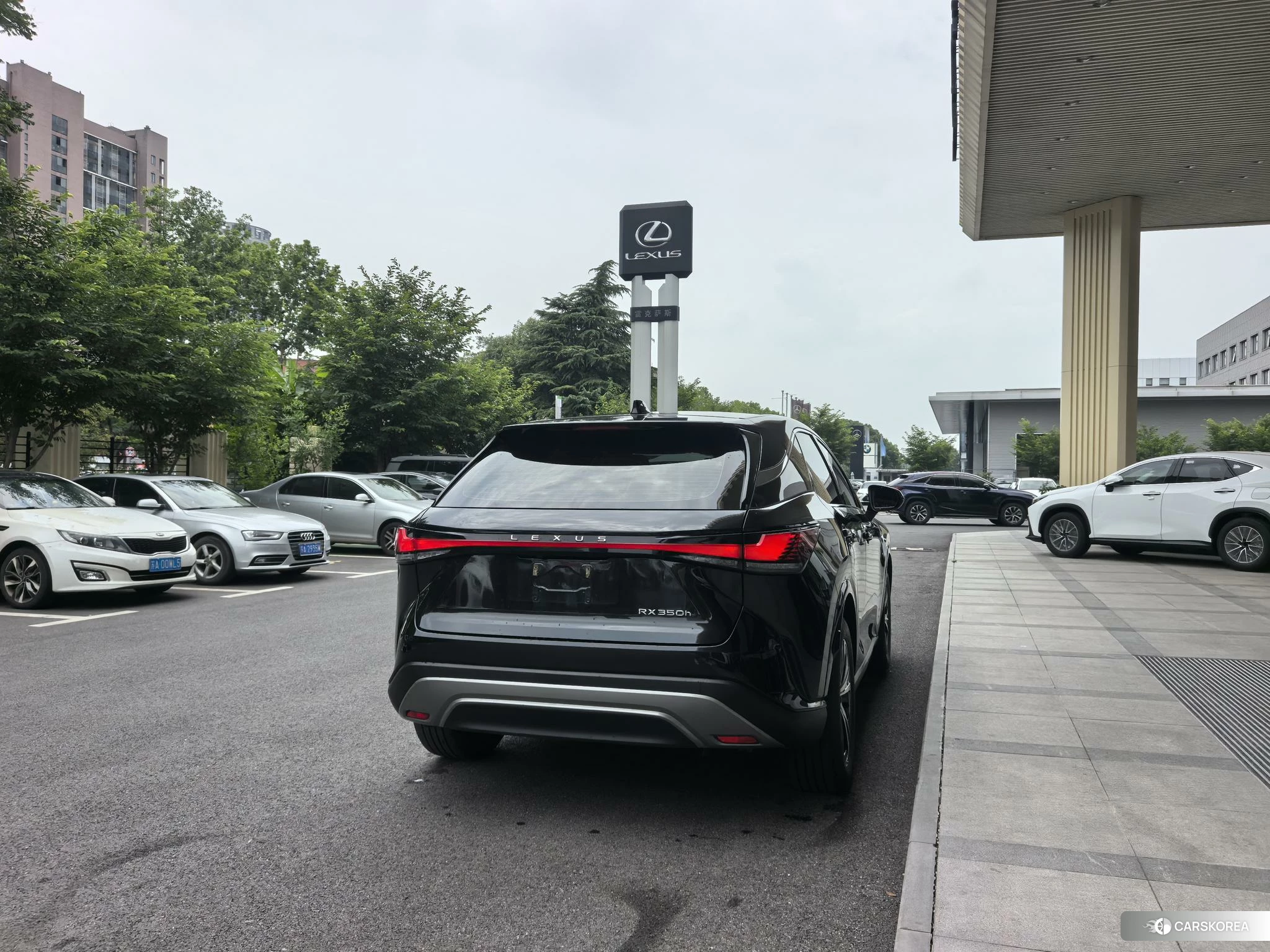 Lexus RX id 4486512 из Китая 12