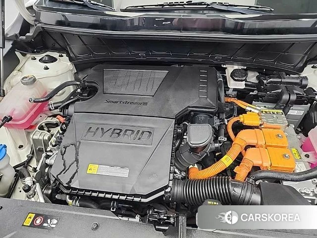 Kia Di Ol Nu Niro id 4529209 из Кореи 15
