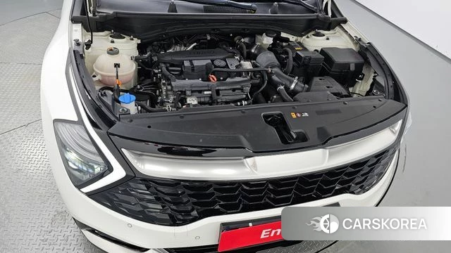 Kia Sportage 5th Generation id 3865878 из Кореи 15