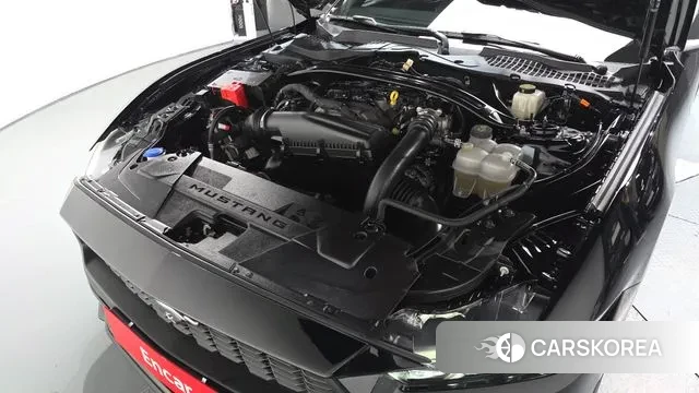 Ford Mustang 7th Generation id 3310175 из Кореи 15