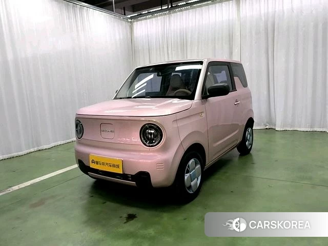 Geely Galaxy panda id 4211457 из Китая 15