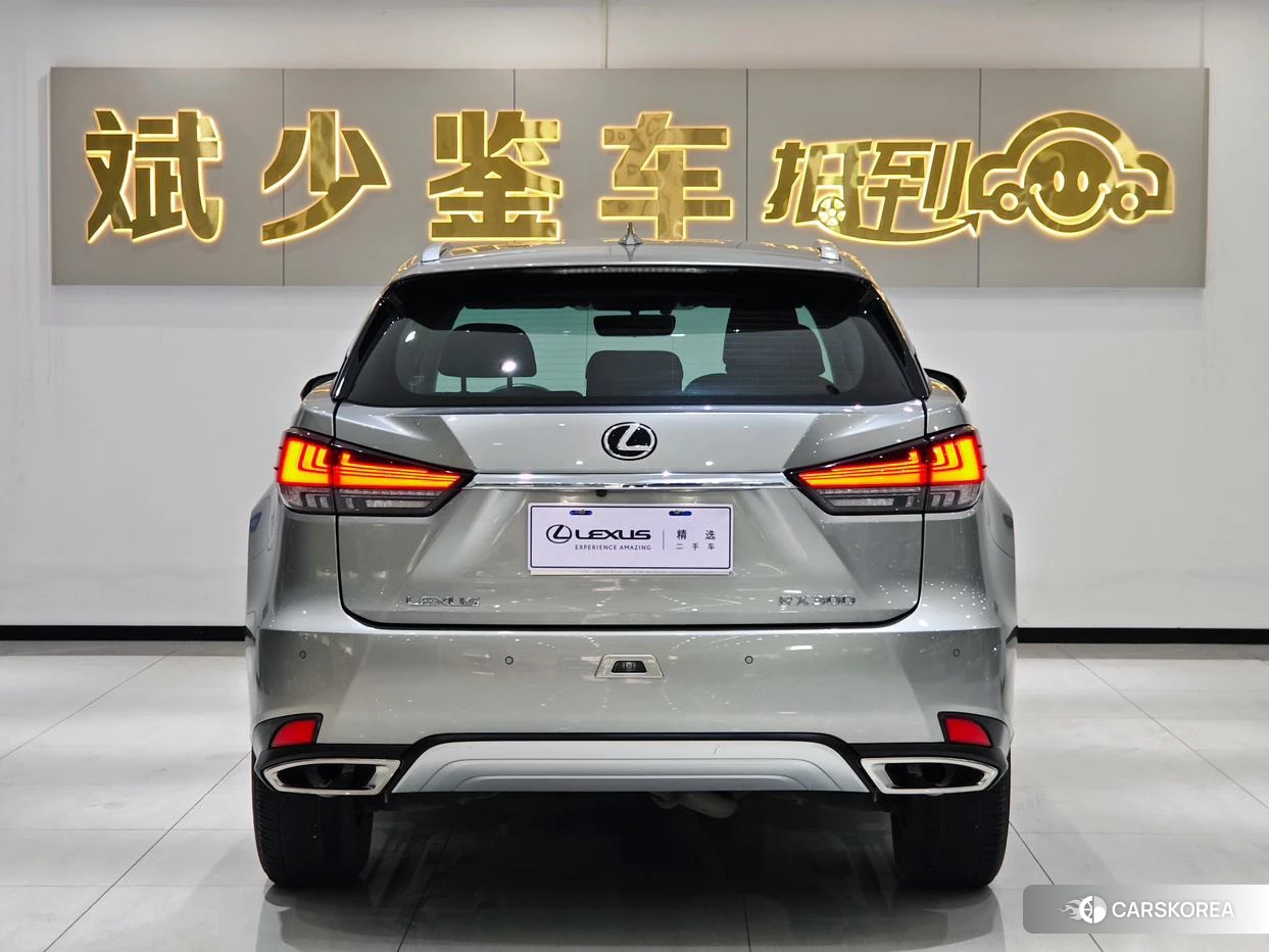 Lexus RX 2020 Серебристо-серый из Китая, фото 6