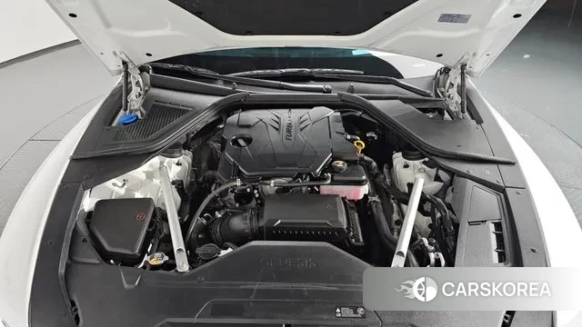 Genesis G80 (RG3) id 3310721 из Кореи 15