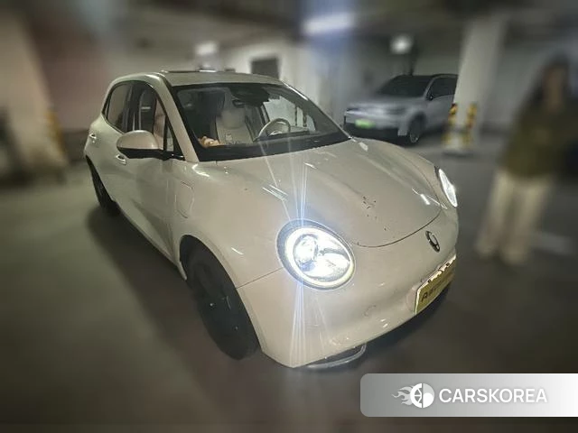 Euler Good cat 2024 Белый из Китая, фото 5