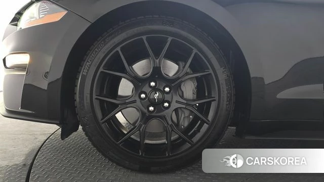 Ford Mustang id 3812270 из Кореи 15