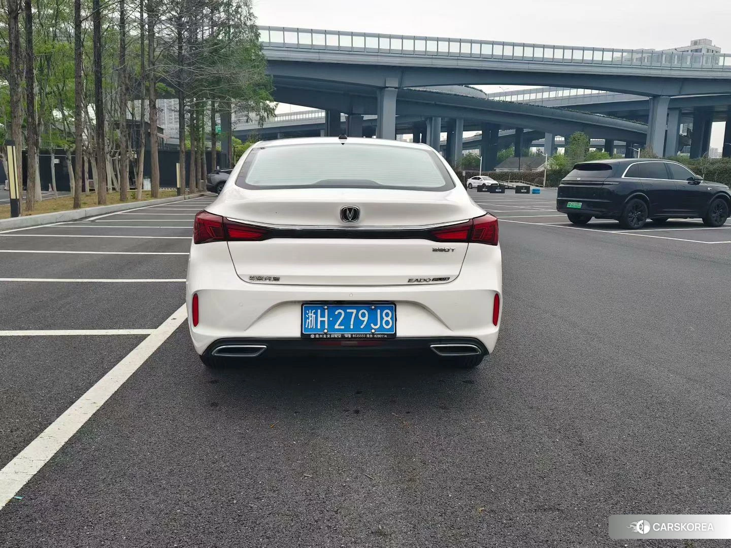 Chang'an Yidong 2021 Белый из Китая, фото 5