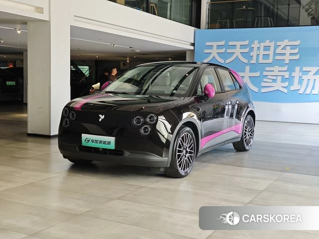 firefly firefly Unknown 2025 Черный из Китая, фото 5