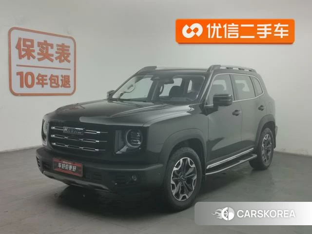 Haval Big dog id 4210237 из Китая 19